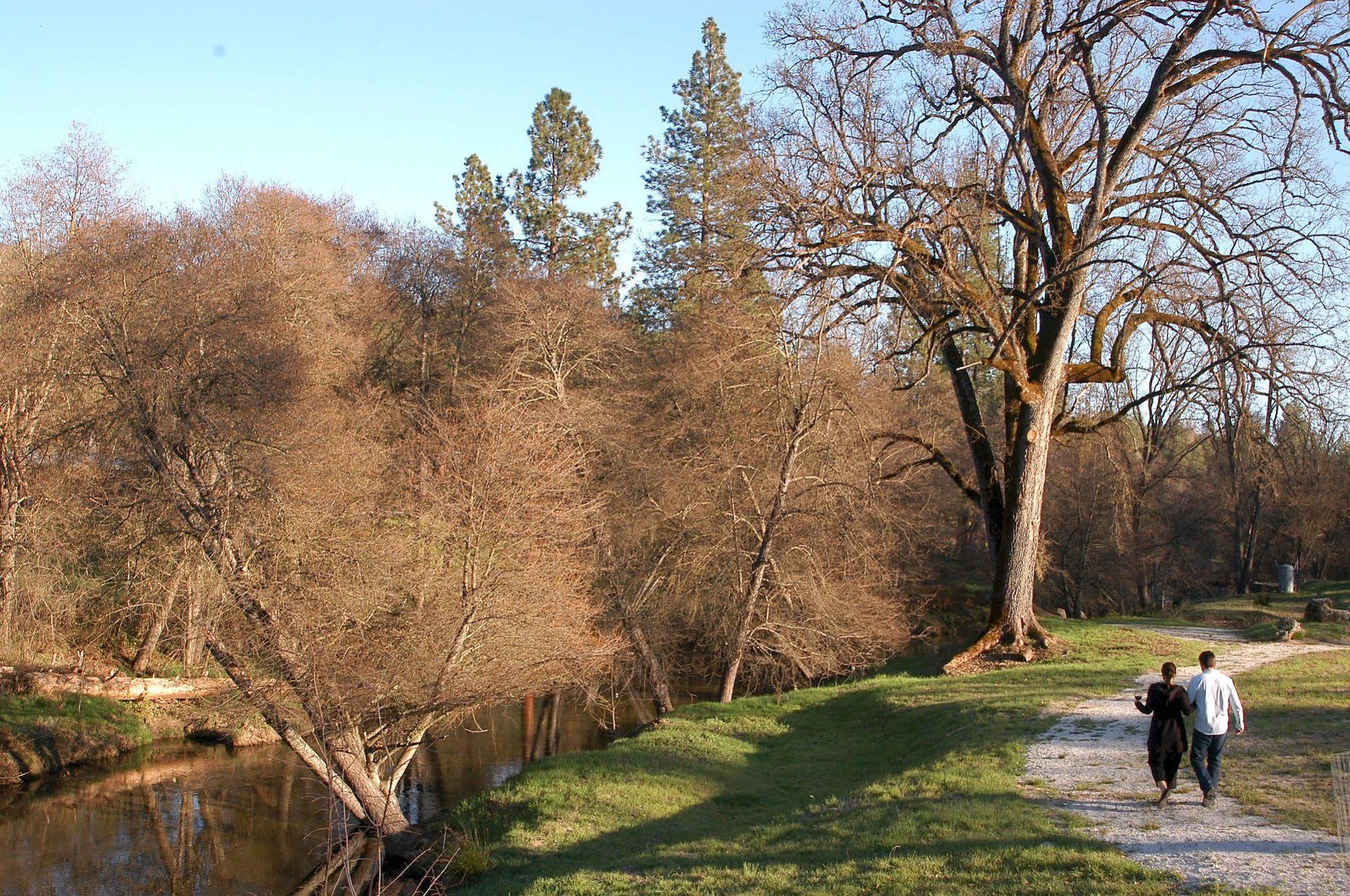 Queen'S Inn By The River โอกเฮิร์สต์ ภายนอก รูปภาพ